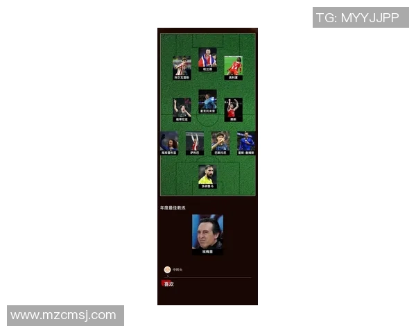 加威足球明星名单及其精彩瞬间全景展示，尽览球场风采与荣耀时刻